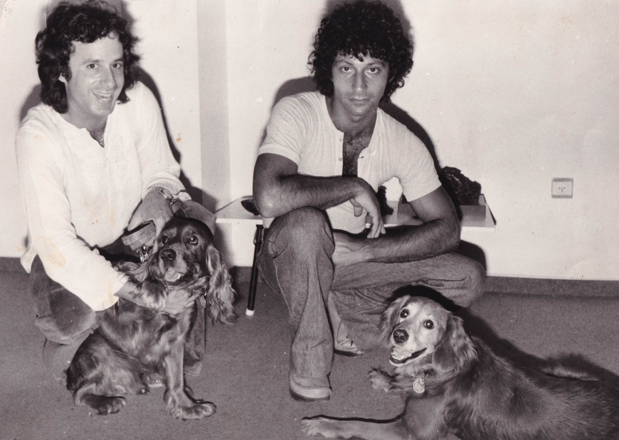 מתי כספי ודני גרנות וכלבים